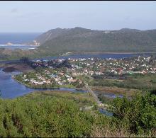 image1.jpg