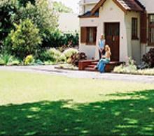 image1.jpg