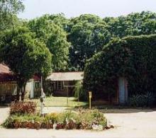 image1.jpg