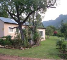 image1.jpg