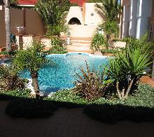 image1.jpg