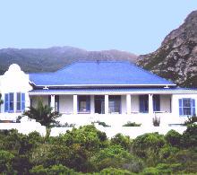 image1.jpg