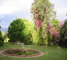 image1.jpg