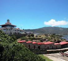 image1.jpg
