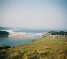 image1.jpg